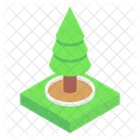 Grun Nadelbaum Strauch Icon