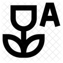 Nahaufnahme Kamera Einstellungen Symbol