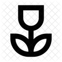 Nahaufnahme Kamera Einstellungen Symbol