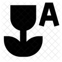 Nahaufnahme Kamera Einstellungen Symbol