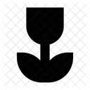 Nahaufnahme Kamera Einstellungen Symbol