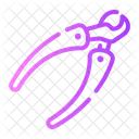 Nail clippers  Icon