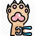 Nail Trimming Icon