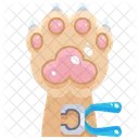 Nail Trimming Pet Nail Trimming Pet Nail Icon