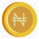 Naira Coin Money Icon