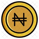 Naira  Icon