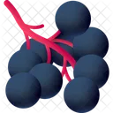Nannyberry Brombeere Beerenfrucht Symbol