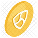 Nem Moeda Criptomoeda Criptografia Ícone