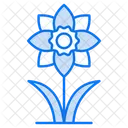 Narciso  Icono