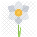 Narcissus Flower Ecology Icon