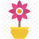 Narcissus Spring Seasonal Icon
