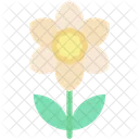 Narcissus  Icon