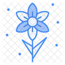 Narcissus Blossom Flower Icon