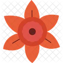 Narcissus Flower Daffodil Bloom Spring Flower Icon