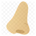 Nariz  Icono