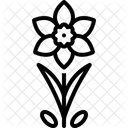 Narzisse  Symbol