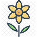 Narzisse Jonquil Primel Symbol