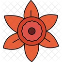 Narzissenblüte  Symbol