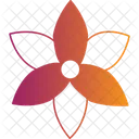 Narzissenblüte  Symbol