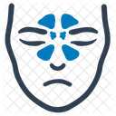 Nasal Nose Otolaryngology Icon