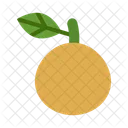 Nashi Pear Fresh Fruit Icon