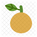 Pera Nashi Fresca Fruta Icon