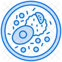 Nasi goreng  Icon
