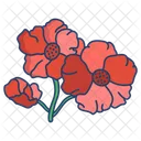 Nasturatiam Flower Blossom Icon