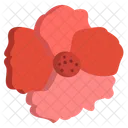 Nasturatiam Flower Flowers Icon