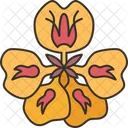 Nasturtium Blooming Blossom Icon