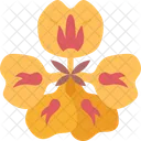 Nasturtium Blooming Blossom Icon