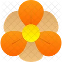 Nasturtium Flower Blossom Icon