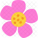 Nasturtium Flower Blossom Icon