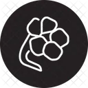 Nasturtium Flower  Icon