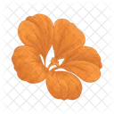 Nasturtium Icon