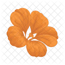 Nasturtium  Icon