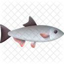 Nasus Fish Fish Food Icon