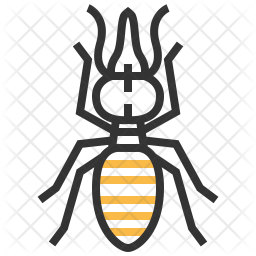 Nasute Icon