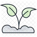 Natural Plant Agriculture Icon