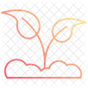 Natural  Icon