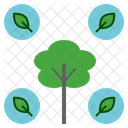 Natural Nature Tree Icon
