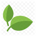 Natural Food Healthy Organic Icon