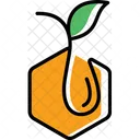 Color Natural Honey Icon