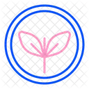 Natural Ingredients Healthy Medicine Icon
