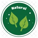 Natural Leaf Sticker  Icon