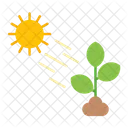 Day Time Morning Time Outdoor Icon