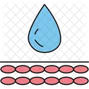 Natural product  Icon
