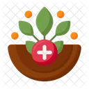 Natural Remedies  Icon