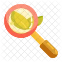 Natural Research Icon