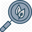 Natural Research Ecology Natural Icon